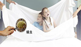 &#122;&#111;&#116;&#121;&#20013;&#27431;