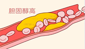 &#122;&#111;&#116;&#121;&#20013;&#27431;